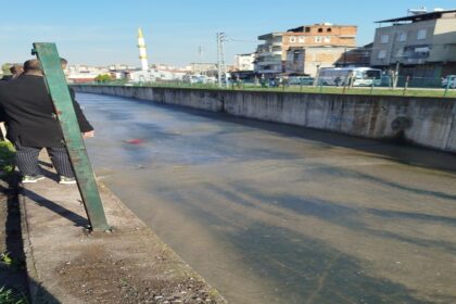 1162242 e1770813915125