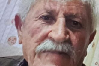 625465594 1541544277971009 8883230603164587873 n