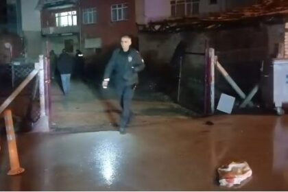 631312737 1551188410339929 1764499531373649793 n