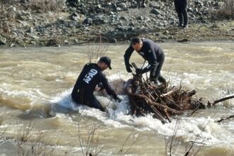 637090543 1553878360070934 416289750675641686 n