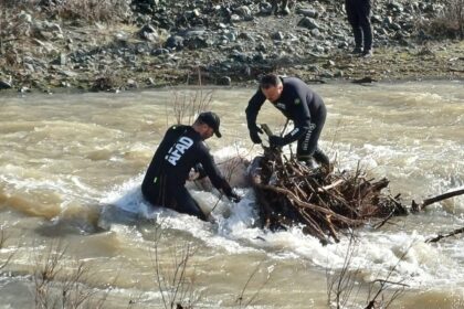 637090543 1553878360070934 416289750675641686 n