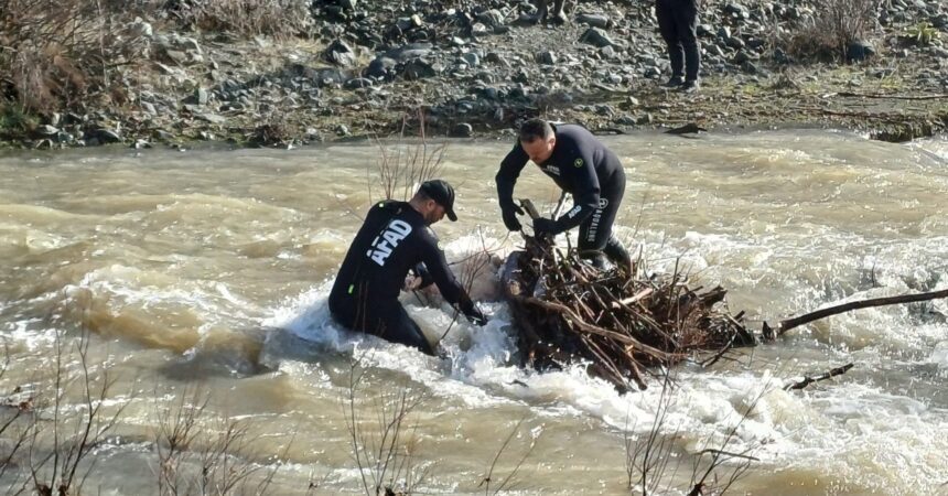 637090543 1553878360070934 416289750675641686 n