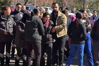 637836922 1556817769776993 1291830741684218853 n