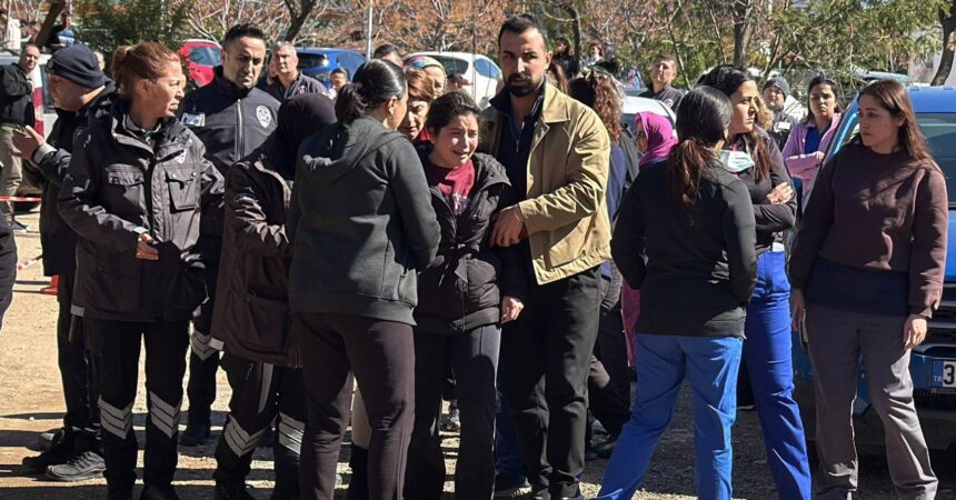 637836922 1556817769776993 1291830741684218853 n