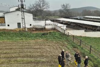 BILECIKTE 20 YIL ONCE KAYBOLAN 3 KISINI 1160532 344639 1