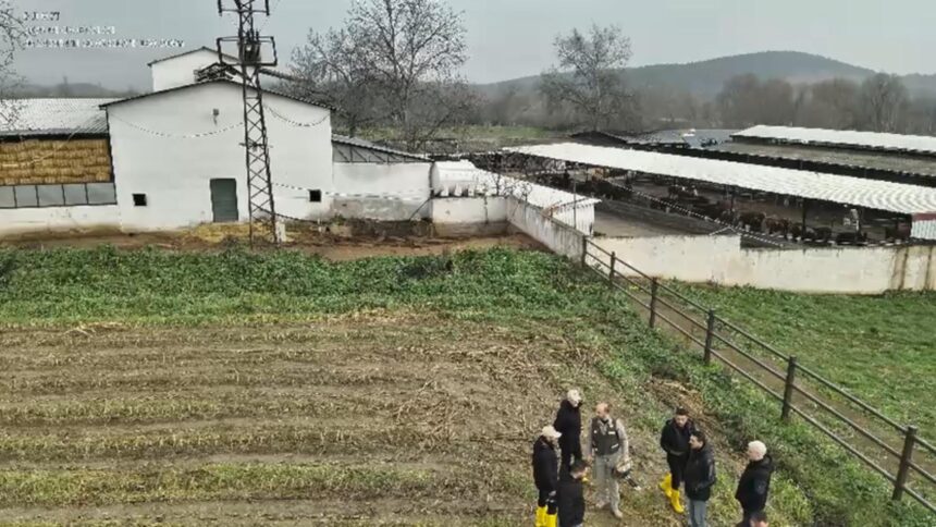 BILECIKTE 20 YIL ONCE KAYBOLAN 3 KISINI 1160532 344639 1