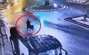 FORKLIFTLE KUYUMCU SOYUP ESEKLE KACAN SU 1162633 345322 e1770894749496