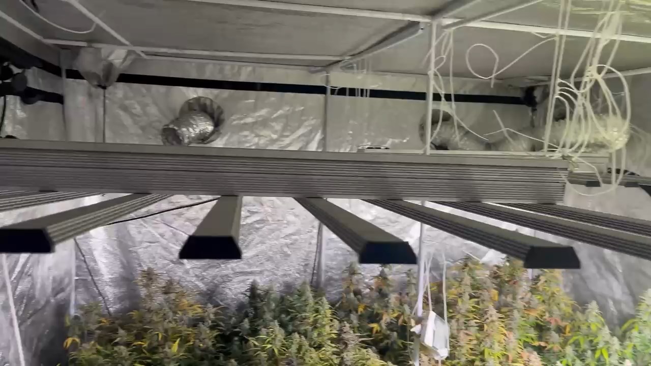 İstanbul - Avcılar'da metruk binada uyuşturucu imalathanesi b