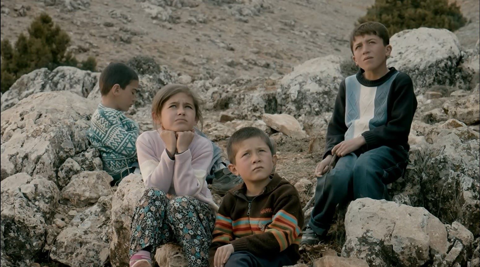 İstanbul - O minikler büyüdü; 12 yıl sonra THY’nin misafi