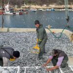 KIRKLARELILI BALIKCILAR KARADENIZDE 6 1184166 351802