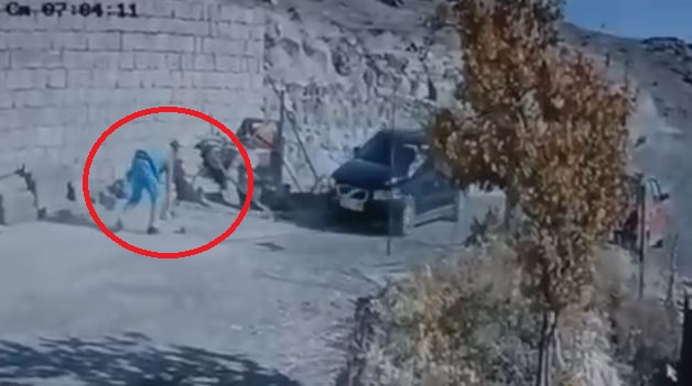 KOMSUSU BABA VE OGLUNU OTOMOBILLE EZIP Y 1148594 341108