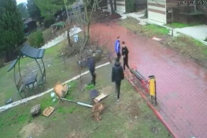 KUS YUVASINI PARCALAYAN COCUKLARA EV HAP 1148675 341135