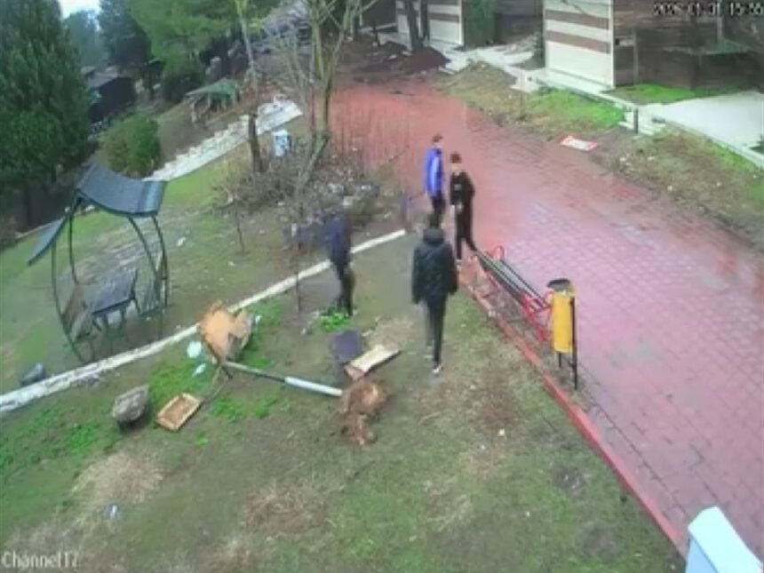 KUS YUVASINI PARCALAYAN COCUKLARA EV HAP 1148675 341135