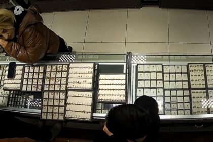 648573880 1571337238325046 8364824131225190391 n 1