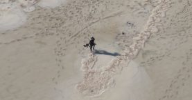 653472047_1578656050926498_7727864589675525128_n