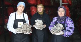 657394819_1587619320030171_1153531129972261544_n