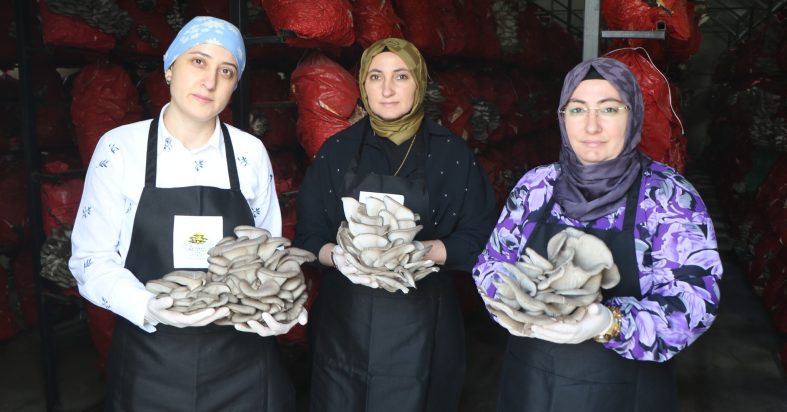 657394819_1587619320030171_1153531129972261544_n