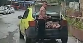 659172293_1592070226251747_1053928461307659405_n