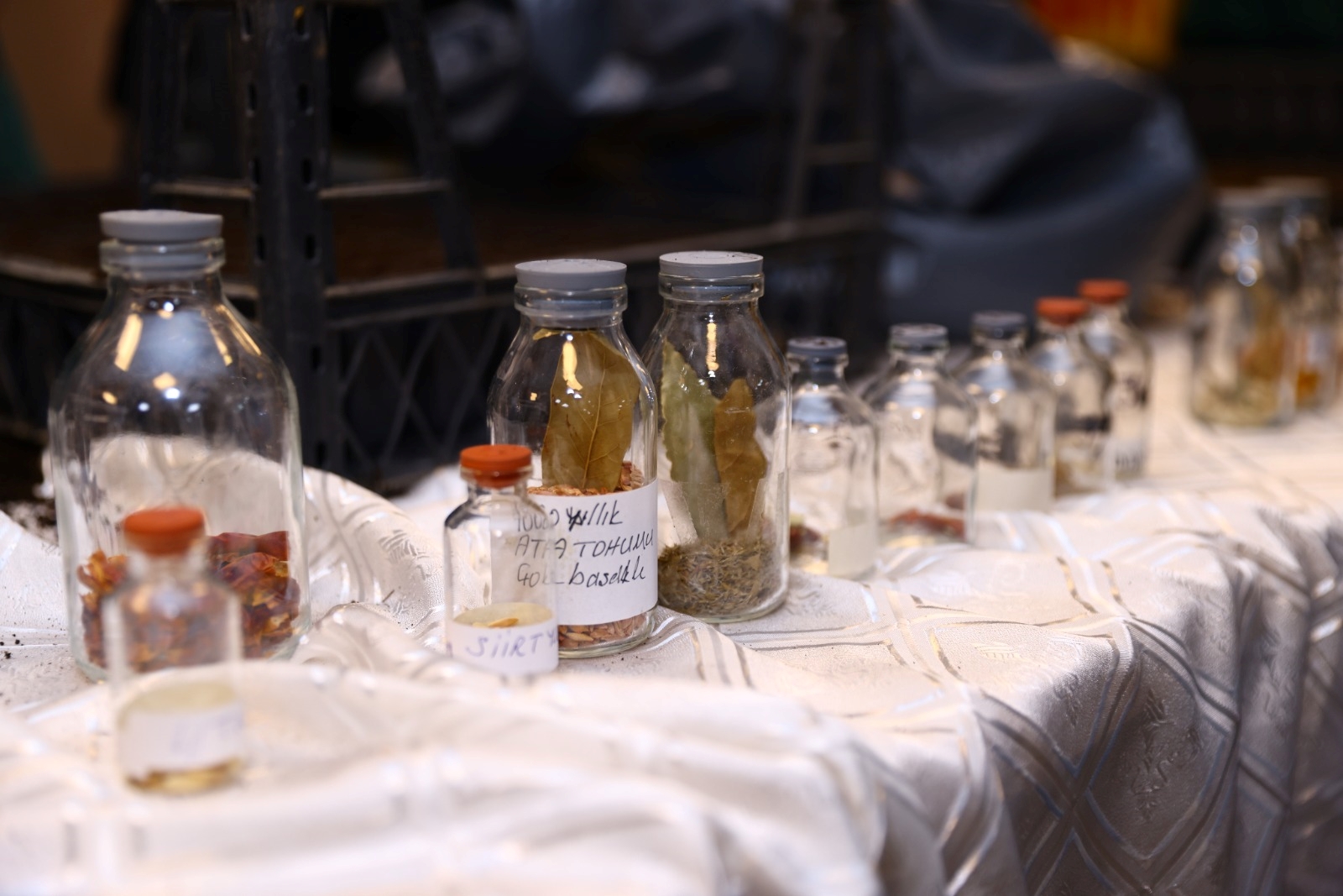 İlkadım’da Öğrenciler Ata Tohumu ve Doğal Yaşamla Buluştu