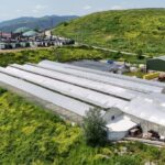 SAMSUNDA COPTEN ELDE EDILEN ISIYLA SERA 1193114 354624