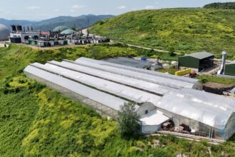 SAMSUNDA COPTEN ELDE EDILEN ISIYLA SERA 1193114 354624