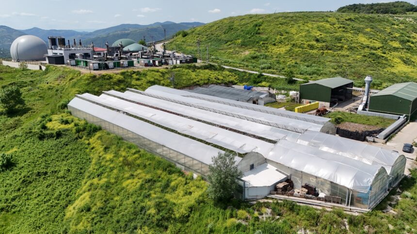 SAMSUNDA COPTEN ELDE EDILEN ISIYLA SERA 1193114 354624