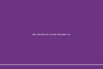 demo turk girisimciler silikon vadisinde 500 milyon dolar yatirim aldi 1200x630
