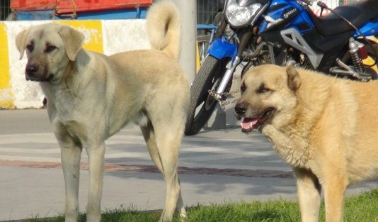 3cd93fa8-08b5-4dab-a16c-01d15de2c843