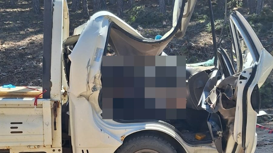 Feci olay! Kesilen ağaç, kamyonetin üzerine devrildi; 1 ölü, 2 yaralı