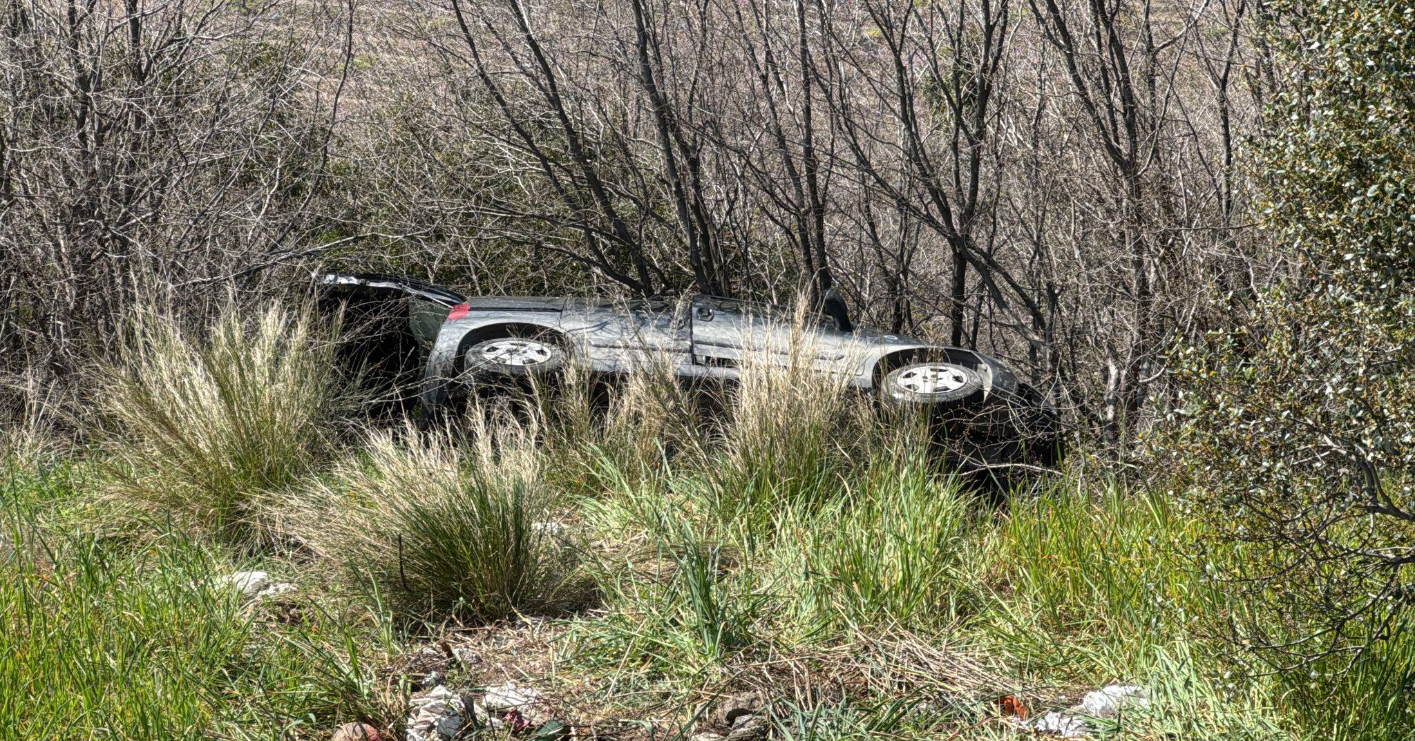Samsun’da otomobilin önüne çıkan kedi sürücüyü ölümle burun buruna getirdi