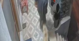 666136026_1598721835586586_7651597666831613624_n