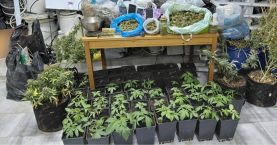 668765281_1599759028816200_2399086472082421144_n