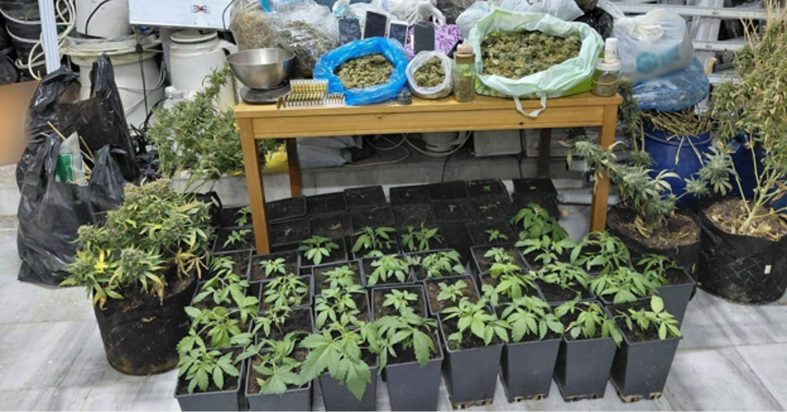 668765281_1599759028816200_2399086472082421144_n