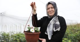 670533744_1603808168411286_2793043118785595852_n