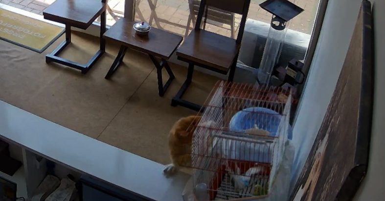 671999010_1606508321474604_8289694700187175019_n