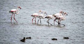 677063597_1609977157794387_4198935846919352831_n