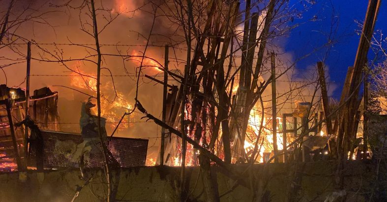 Samsun’da paletlerin olduğu meyve deposunda yangın