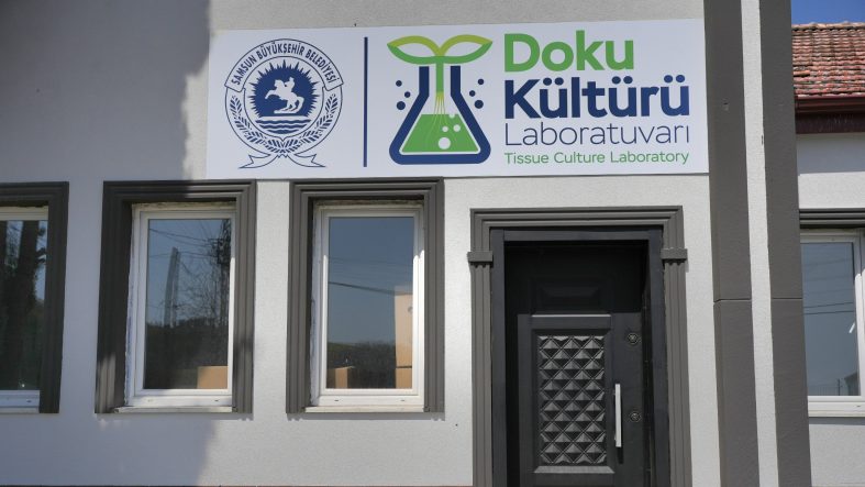 76a2c8b2-cae0-4568-b63e-5725fb591648