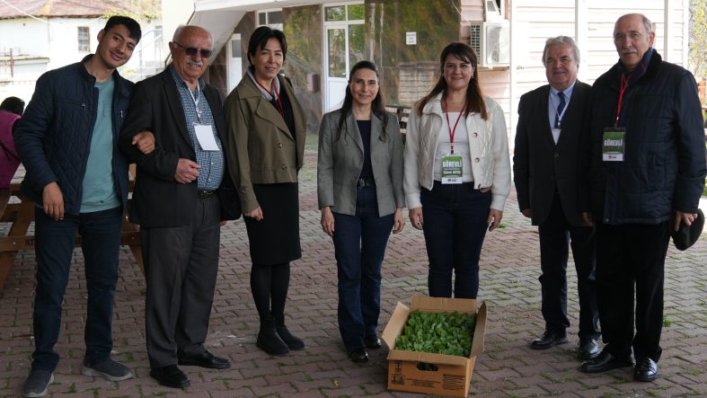 Atakumlu çiftçiye 100 bin adet sebze fidesi