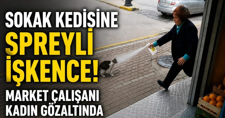 Sokak Kedisine Spreyli İşkence : Market Çalışanı Kadın Gözaltında