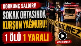 Kanlı Pusu! 26 Yaşındaki Genç Silahlı Saldırıda Öldü-donusturuldugu-kaynak-png
