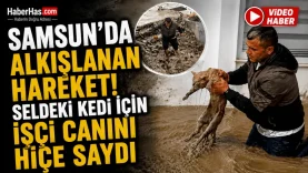 Samsun’da Alkışlanan Hareket Seldeki Kedi İçin Canını Hiçe Saydı-donusturuldugu-kaynak-png