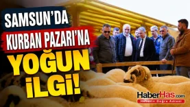 Samsun’da Kurban Pazarı Hareketlendi Canik’te Bayram Yoğunluğu Başladı-donusturuldugu-kaynak-png