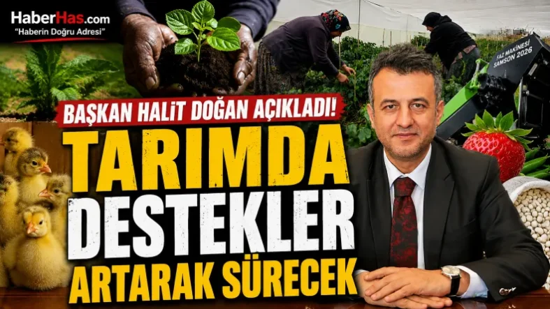 Başkan Halit Doğan Açıkladı Tarımda Destekler Artarak Sürecek-donusturuldugu-kaynak-png