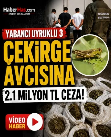 Biyokaçakçılık: Yabancılar Çekirge Toplarken Yakalandılar! 2.1 Milyon TL Ceza
