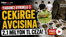Biyokaçakçılık Yabancılar Çekirge Toplarken Yakalandılar! 2.1 Milyon TL Ceza-donusturuldugu-kaynak-png