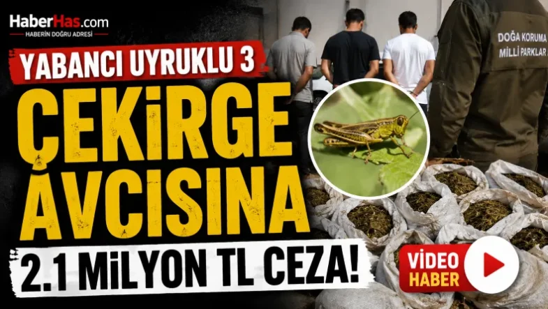 Biyokaçakçılık Yabancılar Çekirge Toplarken Yakalandılar! 2.1 Milyon TL Ceza-donusturuldugu-kaynak-png