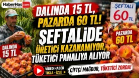 Dalında 15 TL, Pazarda 60 TL! Şeftalide Üretici Kazanamıyor, Tüketici Pahalıya Alıyor-donusturuldugu-kaynak-png