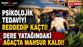 Psikolojik Tedaviyi Reddedip Kaçtı! Dere Yatağındaki Ağaçta Mahsur Kaldı-donusturuldugu-kaynak-png (1)