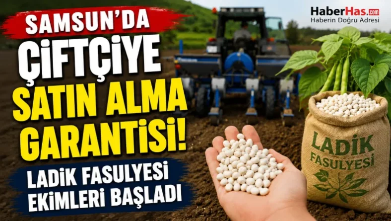 Samsun’da Çiftçiye Satın Alma Garantisi: Ladik Fasulyesi Ekimleri Başladı
